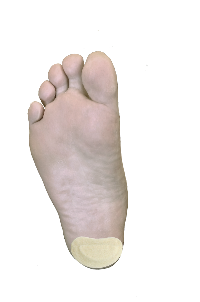 Kidney Pad J-15