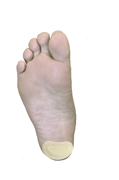 Kidney Pad J-15