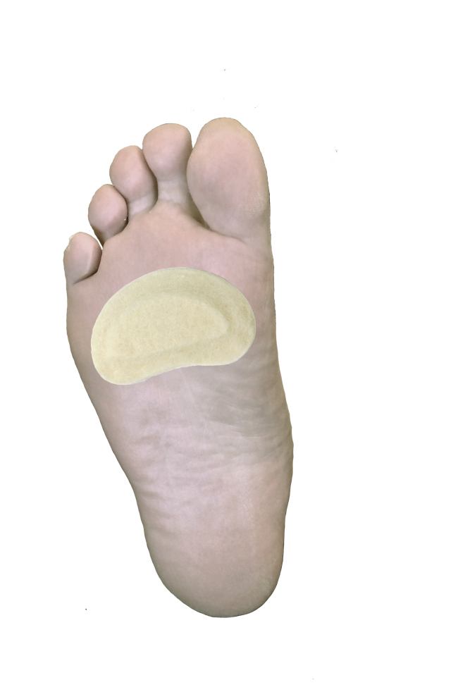 Kidney Pad J-15